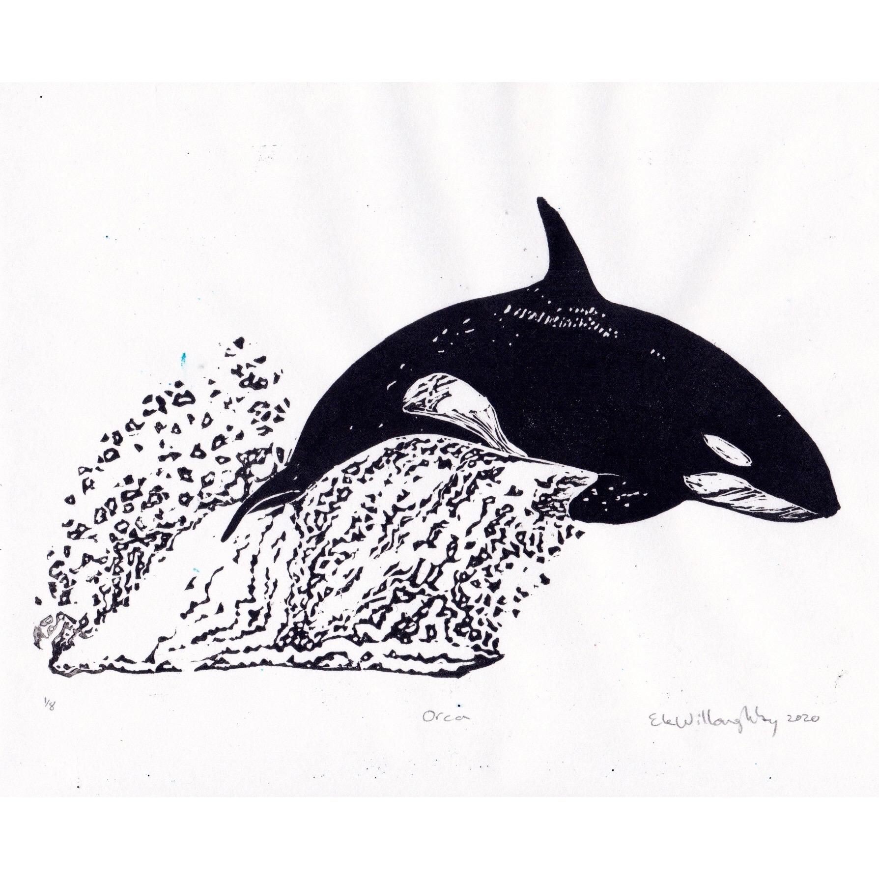 My black and white linocut print of an orca in profile leaping out of the water trailing a big splash of water