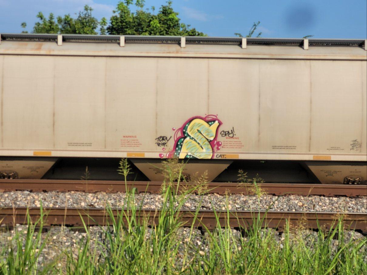 A beige freight car with just an S. Full description on the close up in the next image.